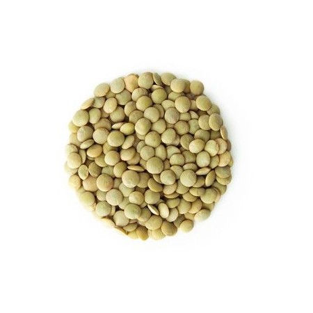 SOCZEWICA ZIELONA BIO (SUROWIEC) (25 kg) 4